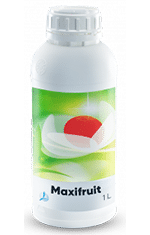 MAXIFRUITalternate image 1