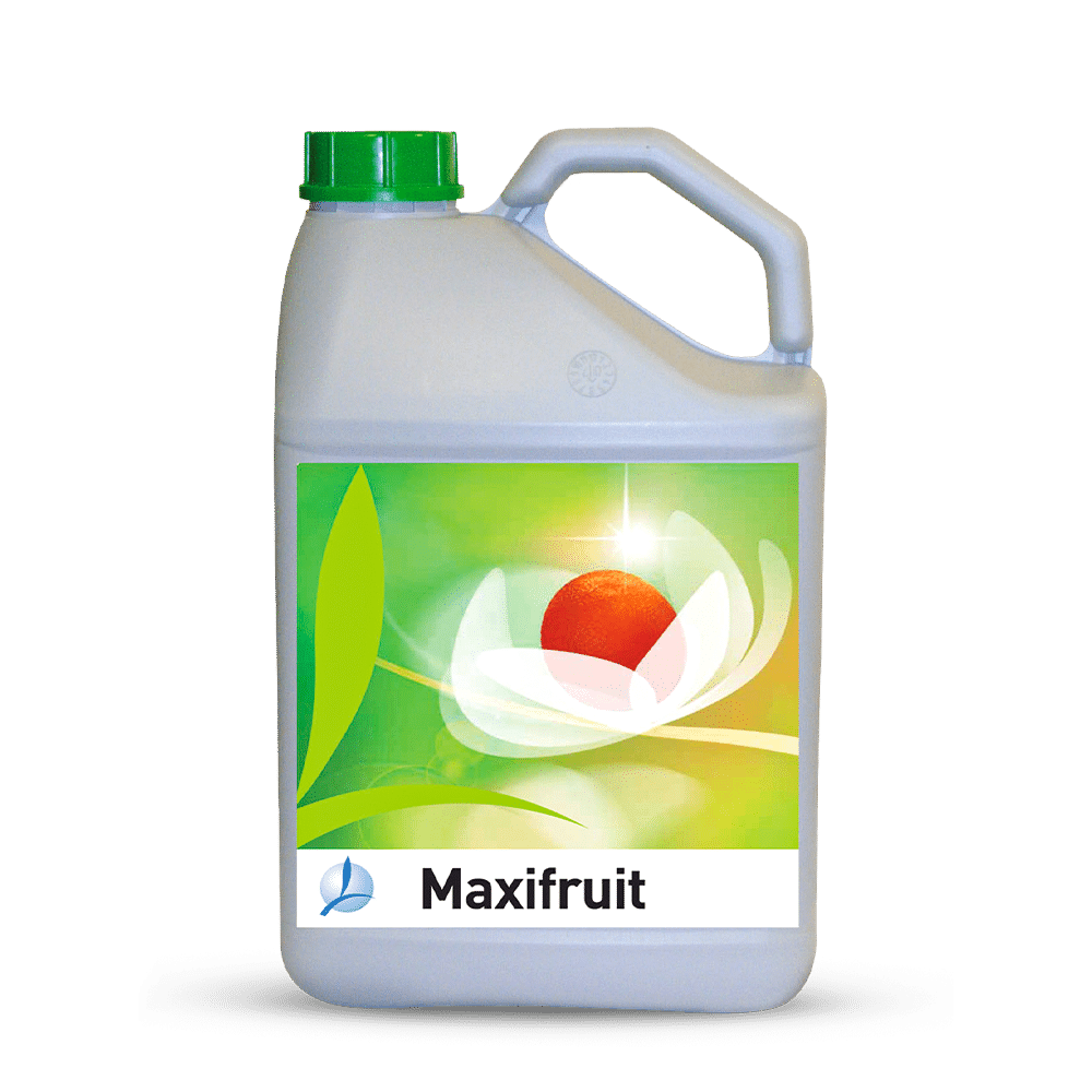 MAXIFRUIT