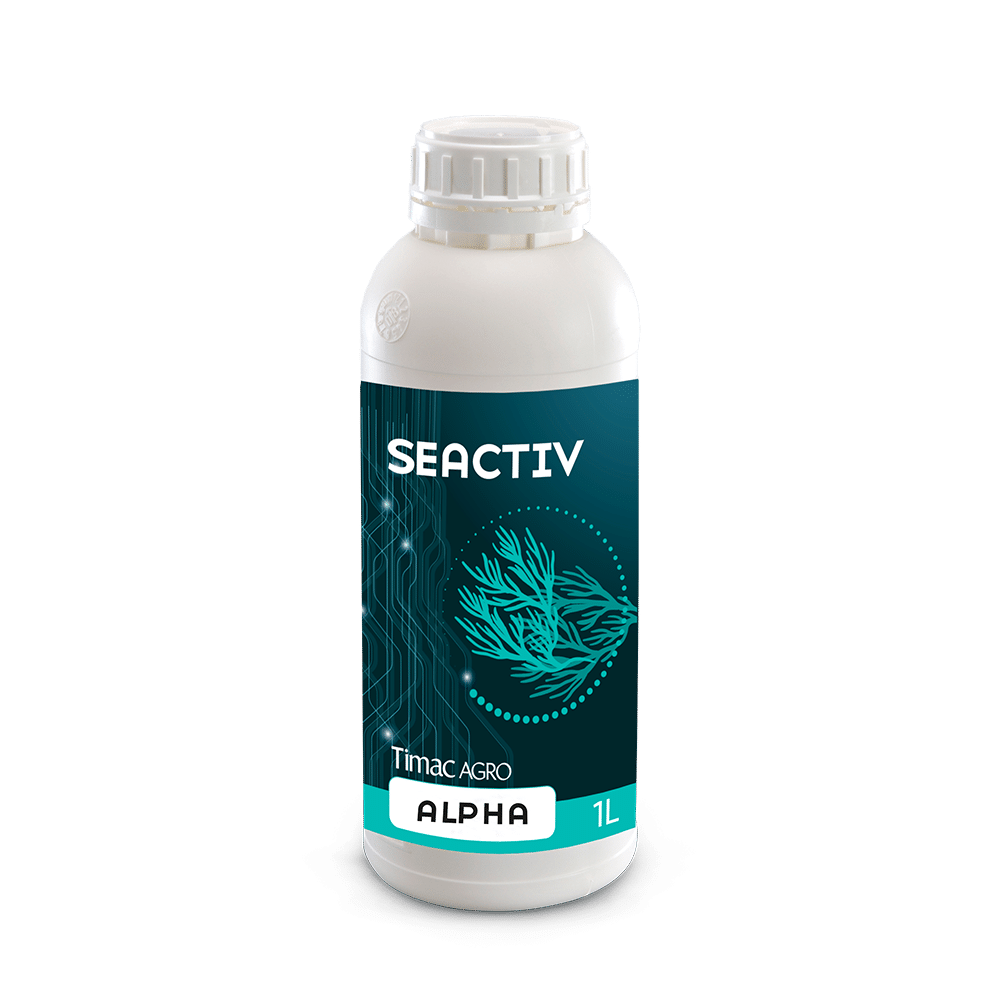 SEACTIV ALPHAalternate image 1