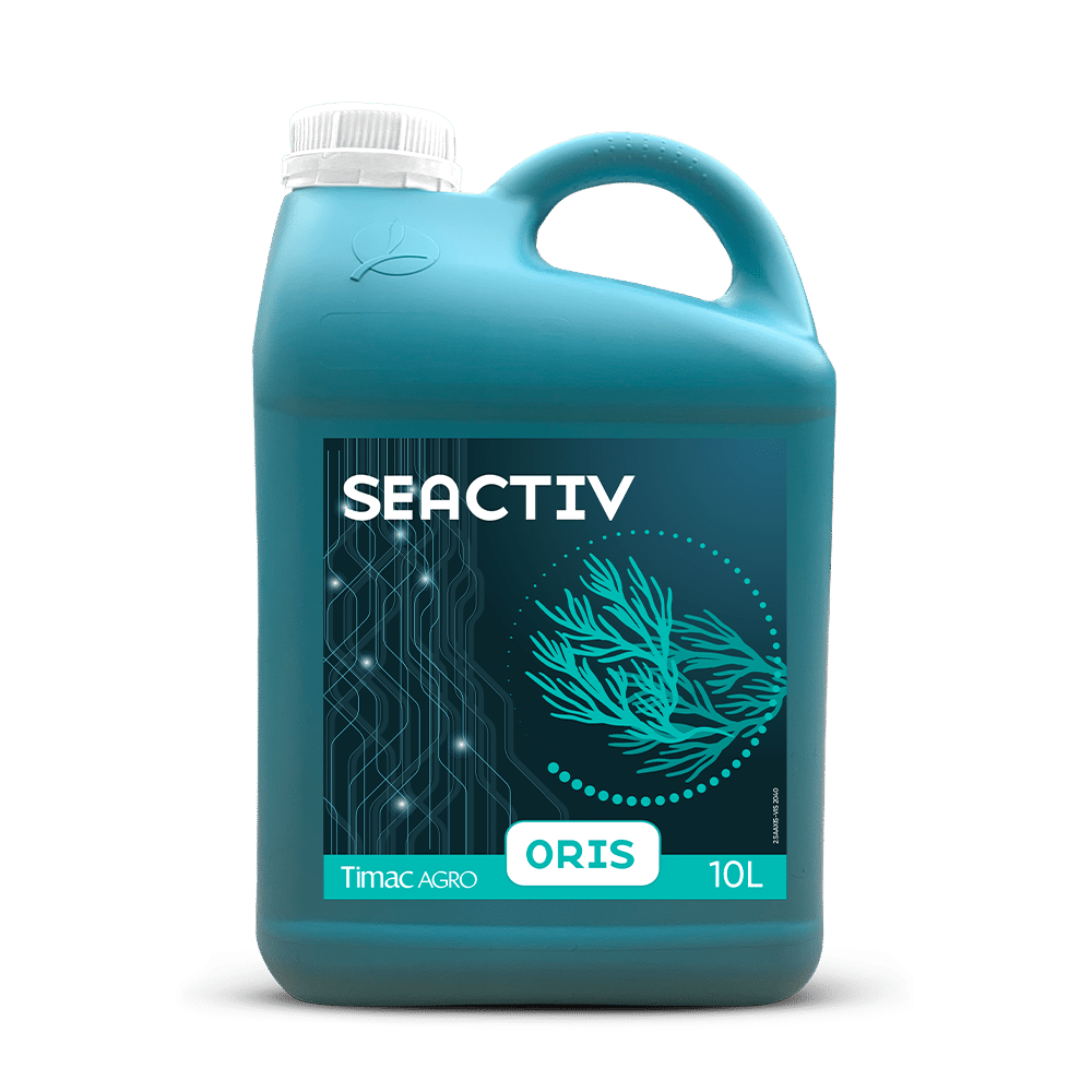 SEACTIV ORIS