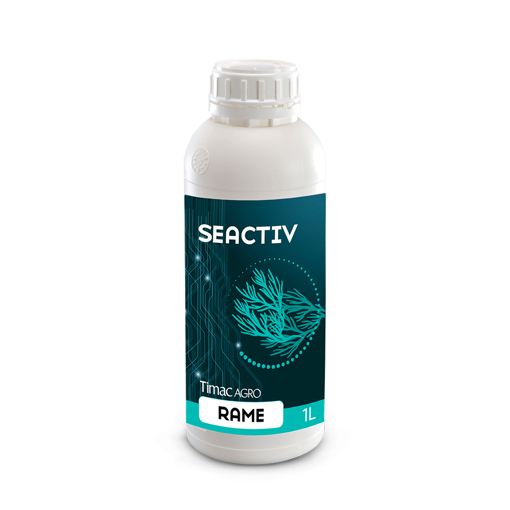 SEACTIV RAME