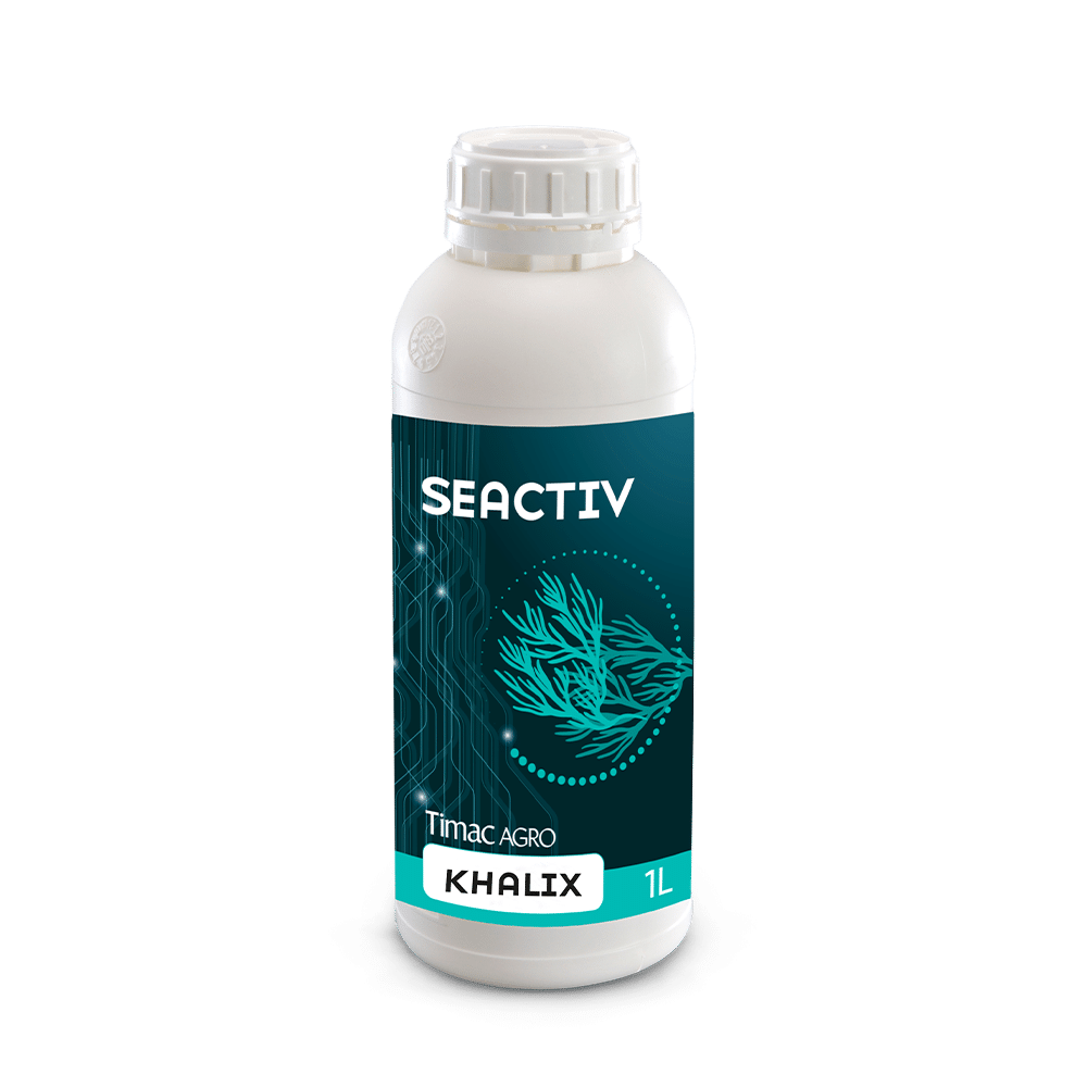 SEACTIV KHALIXalternate image 1