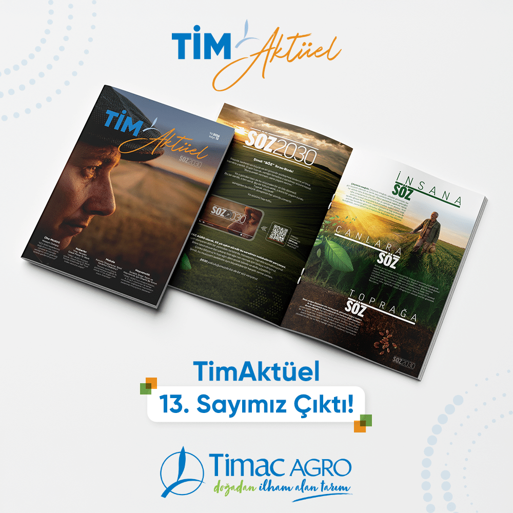 timaclub popup