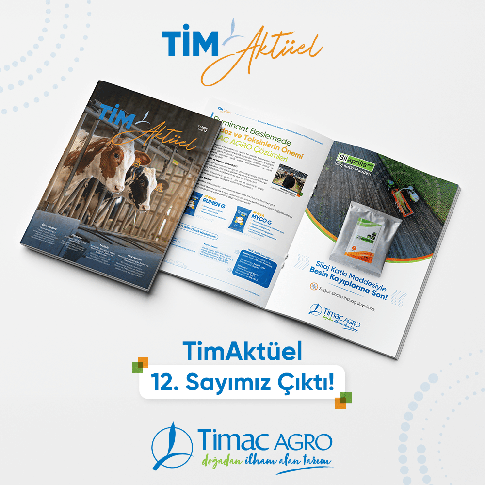 timaclub popup sayı 12