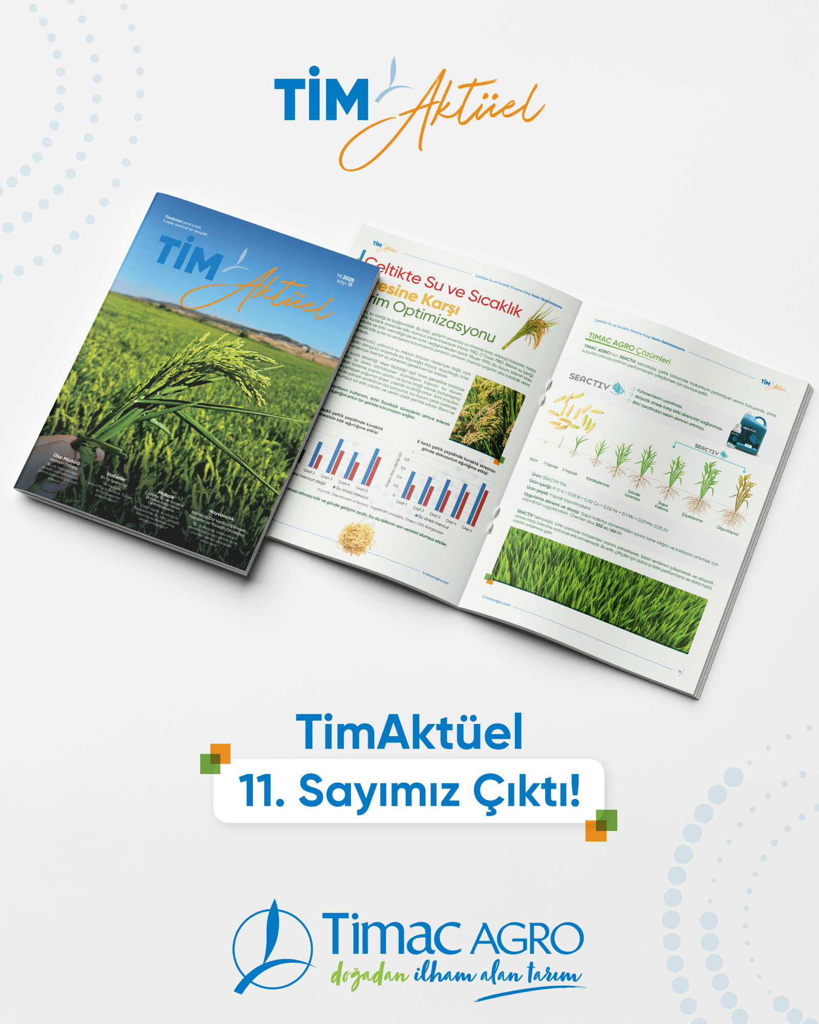 timaktüel web popup