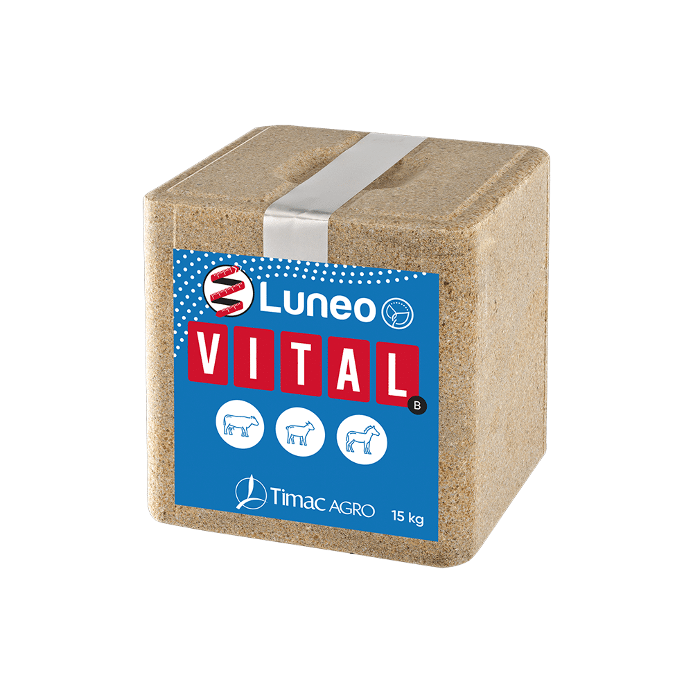 LUNEO VITAL-B