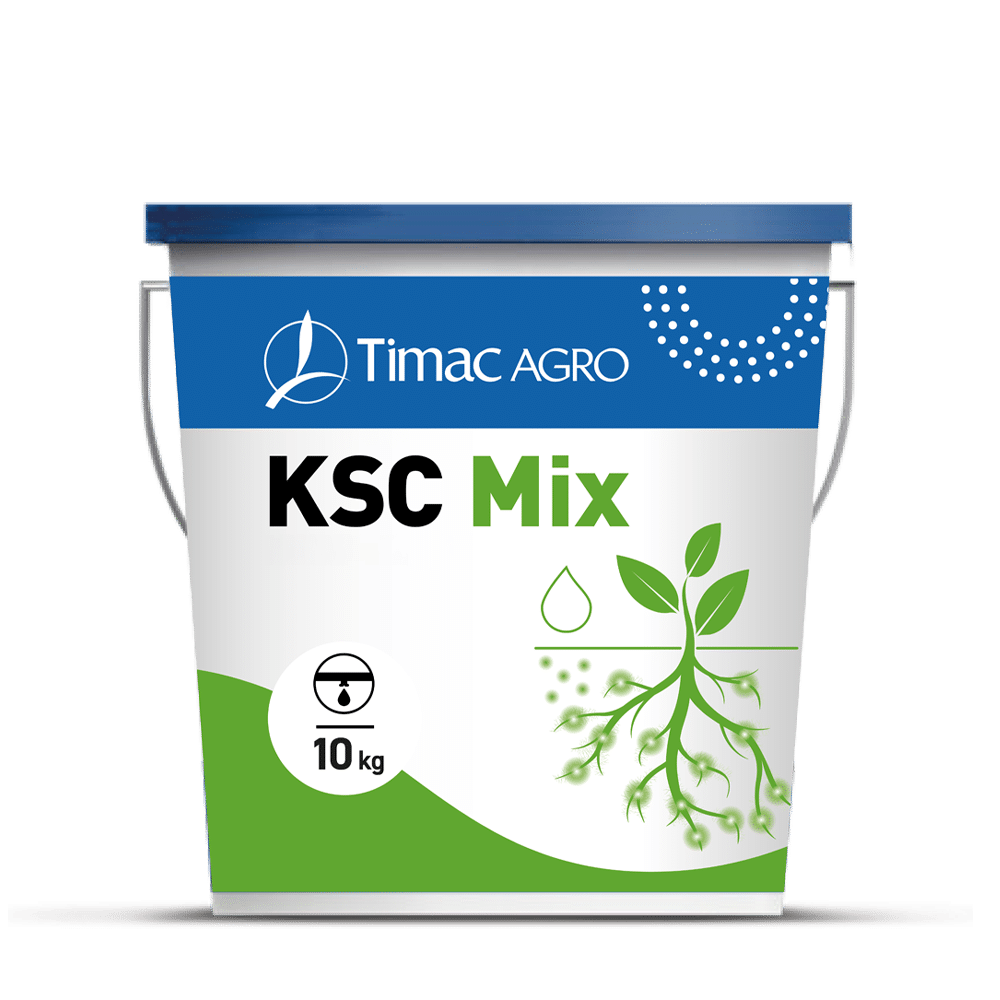 KSC MIX