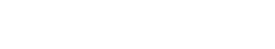 soz2030 logo